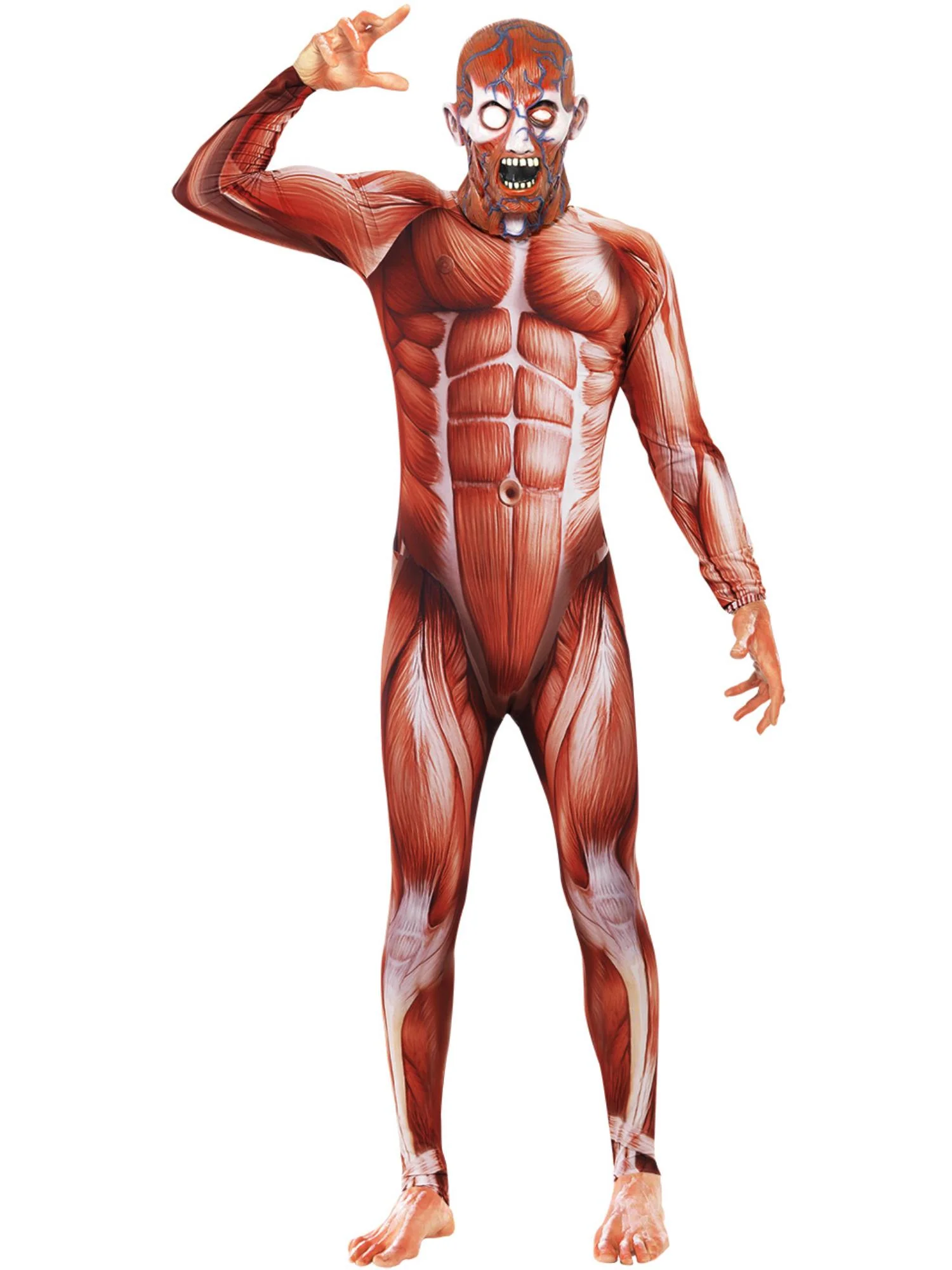 Anatomy Man Costume - Image 3