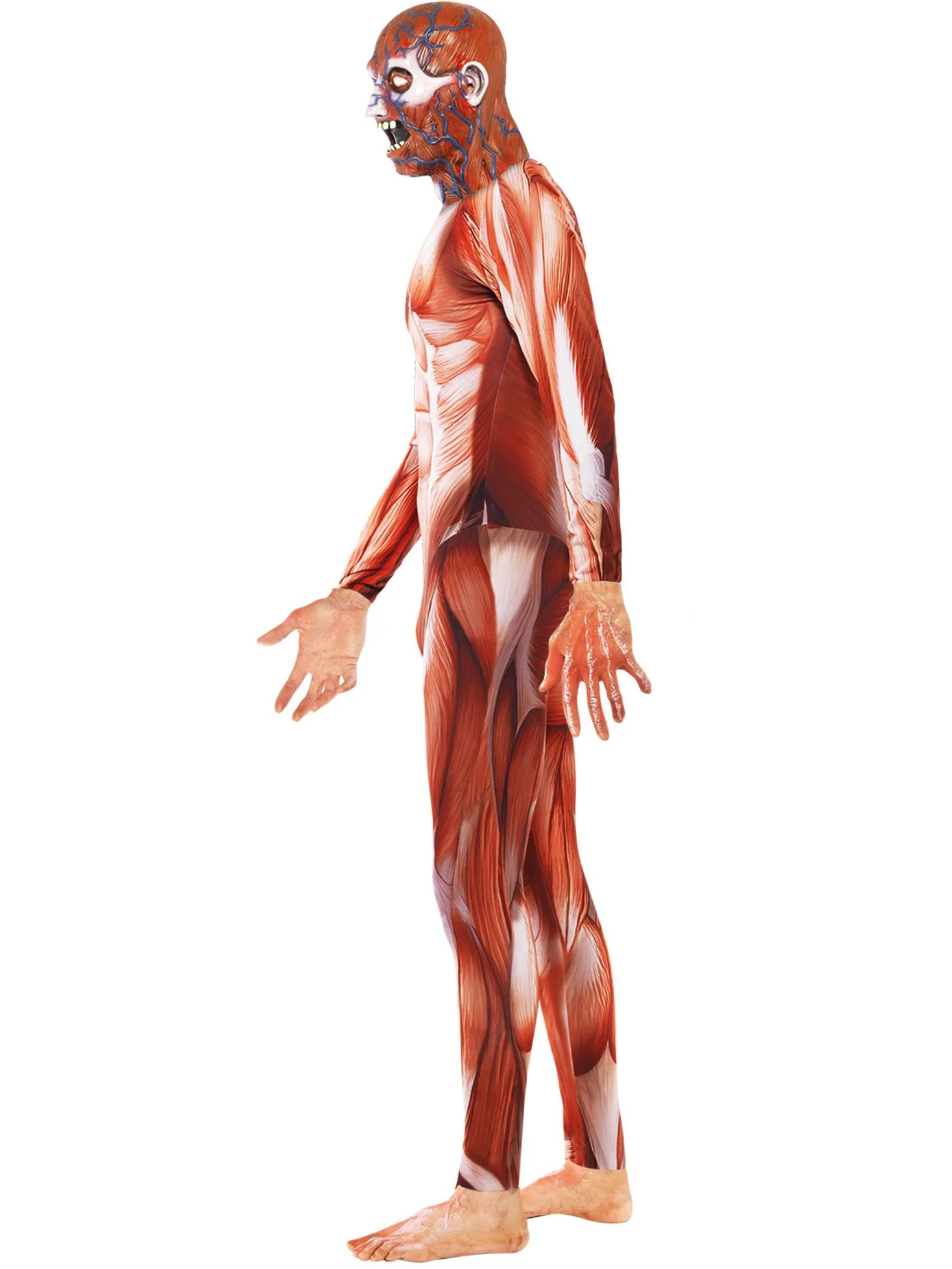 Anatomy Man Costume - Image 4