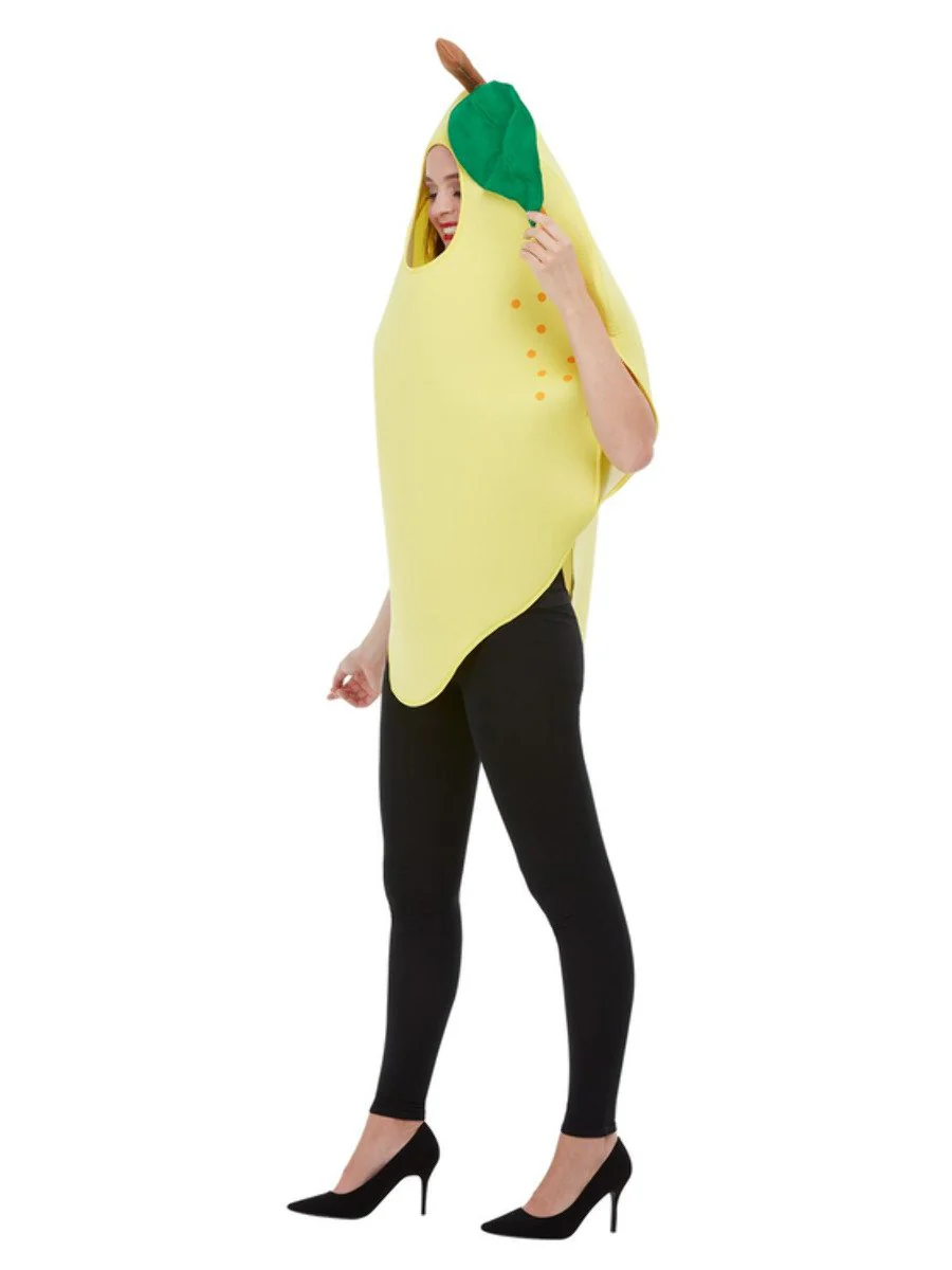 Lemon Costume - Image 7